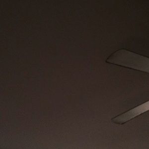 Meet your Posher, Shiloh